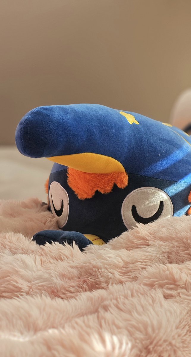 hellocutecumber's tweet photo. Meet the two newest biggest beetles from the Cuddle Bugs !!!! https://t.co/nKP7fIwWgf