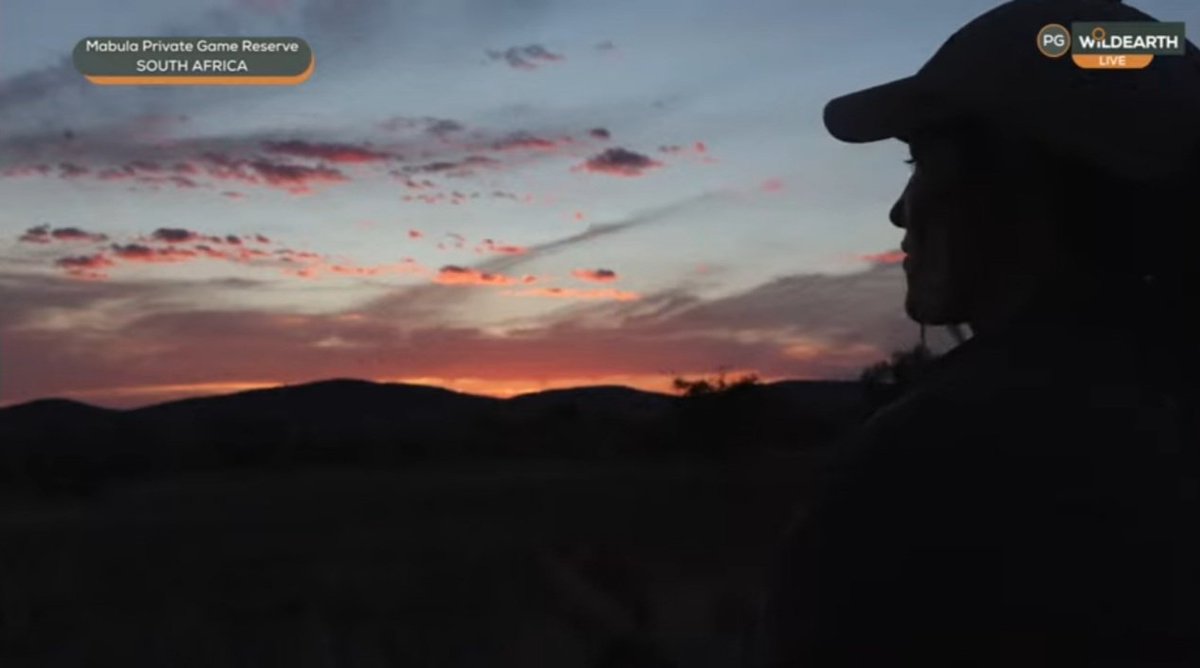 drsloma's tweet photo. A beautiful Mabula sunset to close the day
#wildearth https://t.co/lMqLrpdQej