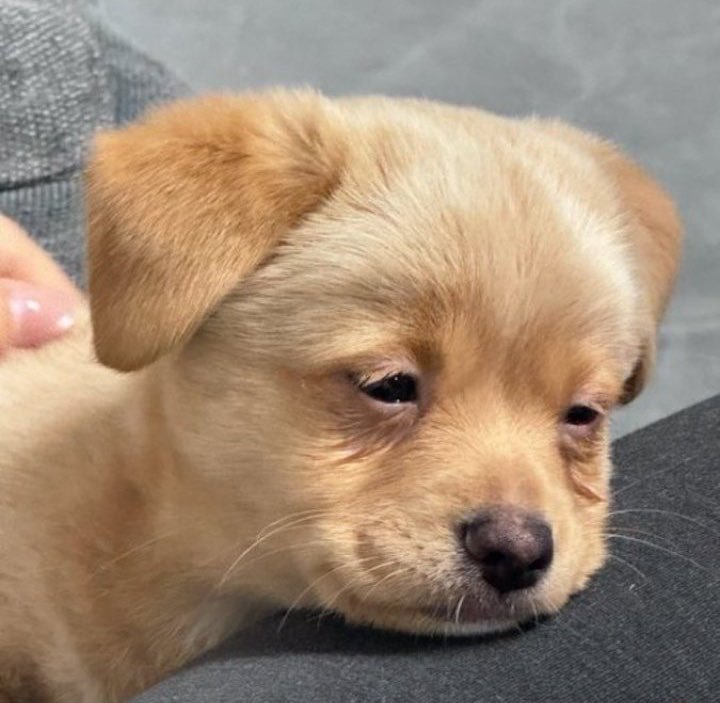 johboscochuks's tweet photo. Just woke up from sleep and realized that all my mutuals has gone to touch grass.

And you all said that you don't have money 😭 https://t.co/5L1rP9QzXA