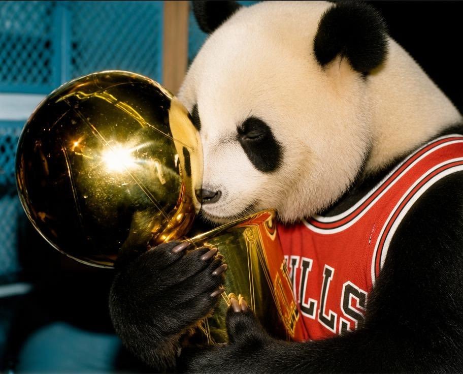 veenty444's tweet photo. the $PANDA only cares about winning. https://t.co/1xkcCS6FPx