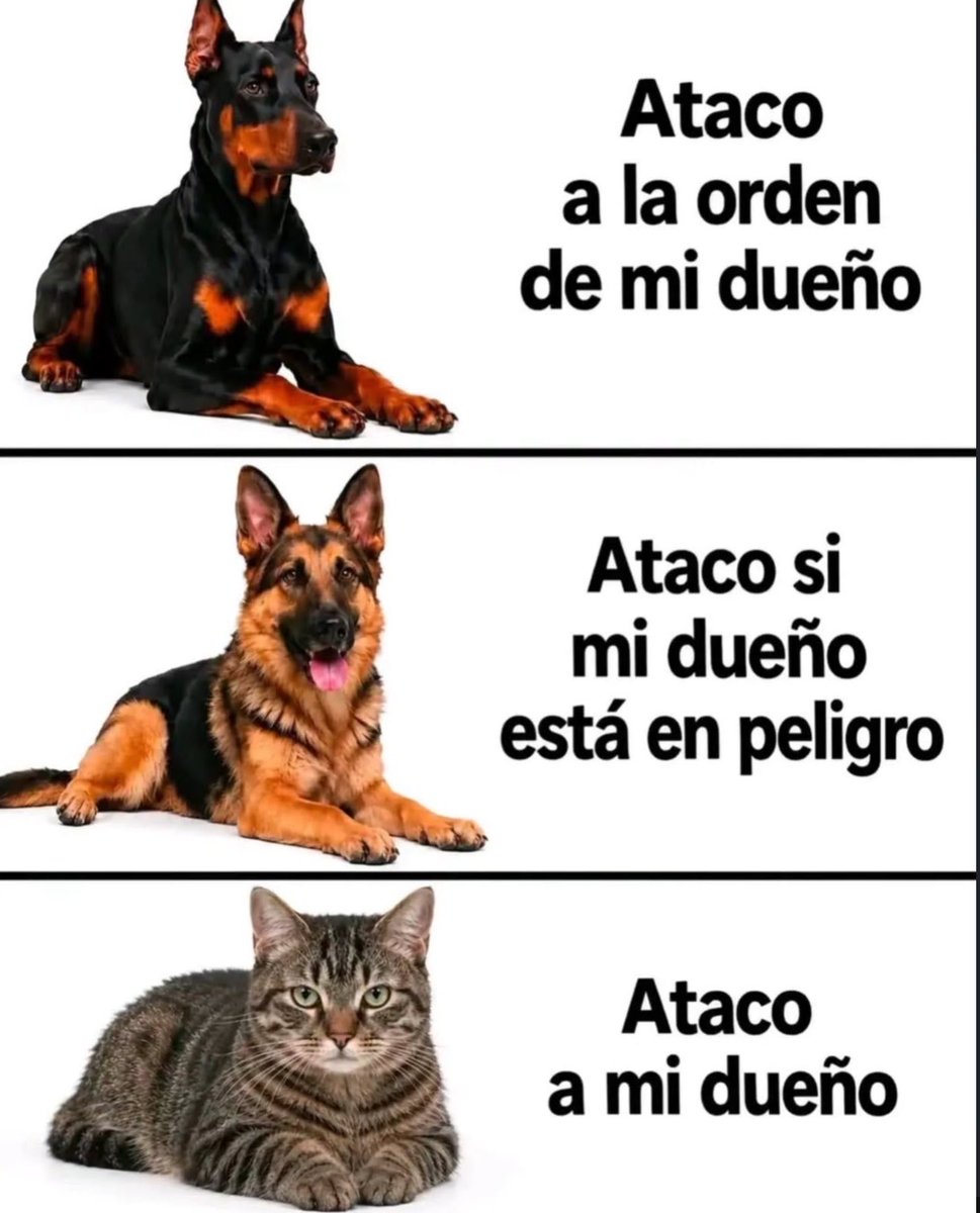 skereunpesado's tweet photo. https://t.co/w131WKqVgr