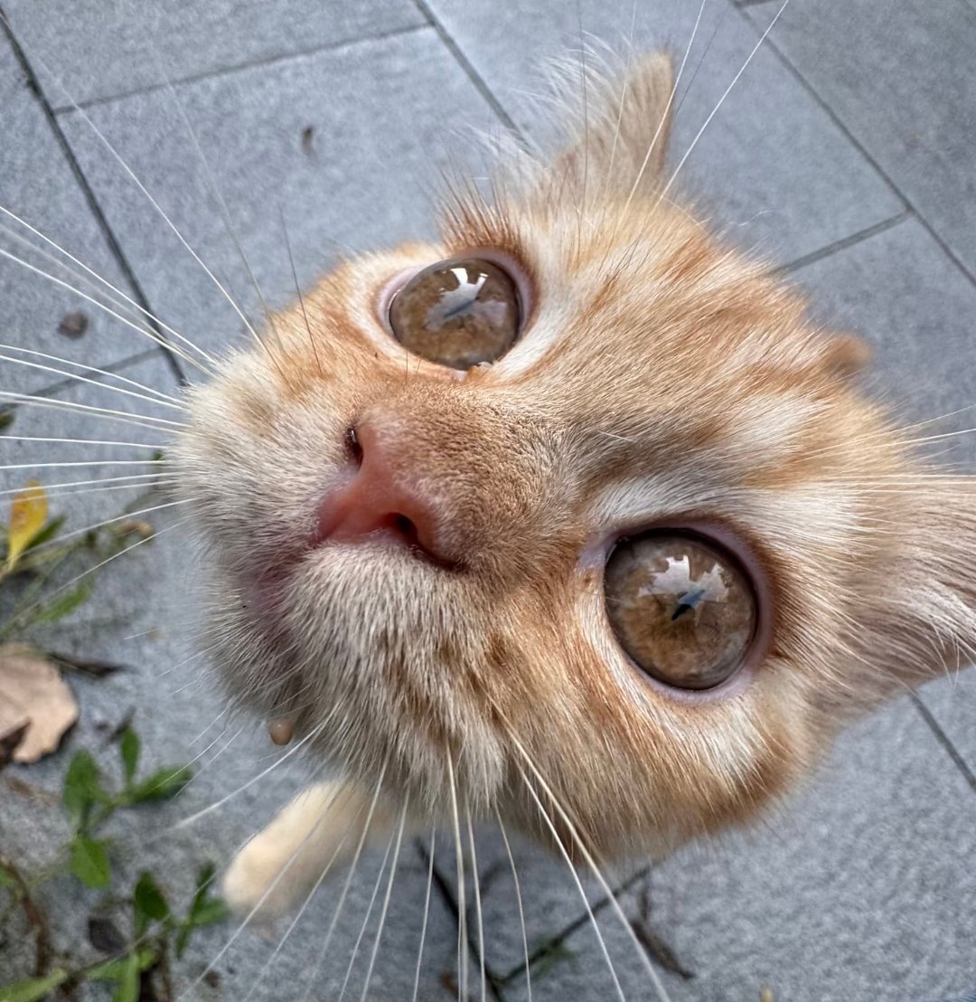 dailypxst's tweet photo. https://t.co/YhgyKxrwi3