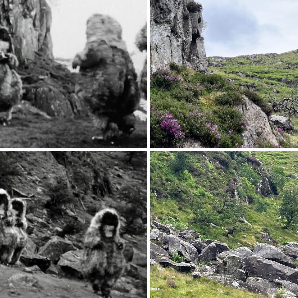 RikByatt's tweet photo. The Abominable Snowmen 1967 > 2024
#DrWho #DoctorWho #DoctorWhoLocations
https://t.co/P67f0q2pQr https://t.co/HeKIK3cBj1