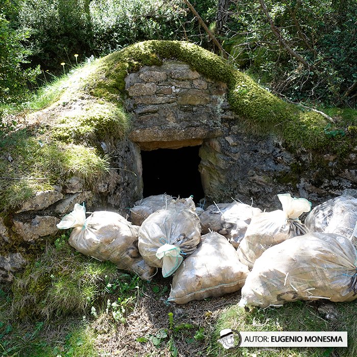 EugenioMonesma's tweet photo. 🥔⛰️ #PATATAS en POZOS bajo tierra: una forma ancestral para su conservación en los pueblos de montaña.
¡Un conocimiento rural que merece ser recordado!
📽️ Documental COMPLETO (45') aquí: https://t.co/TwDac8PuCs https://t.co/cmEIa7TRSC
