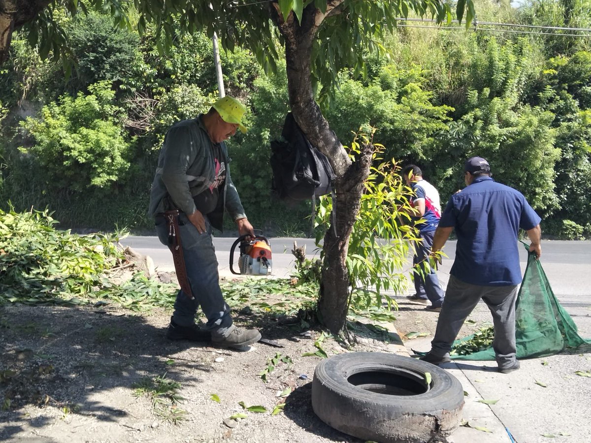 Larepublicass's tweet photo. 🌳🚨 Personal municipal atendió la caída de un árbol sobre la 50.ª avenida Norte, en la Zona 6 del Distrito Capital, como parte de las acciones de respuesta ante emergencias que representan riesgos para la población.

#SanSalvadorCentro #Prevención https://t.co/fGnZ33TWwk