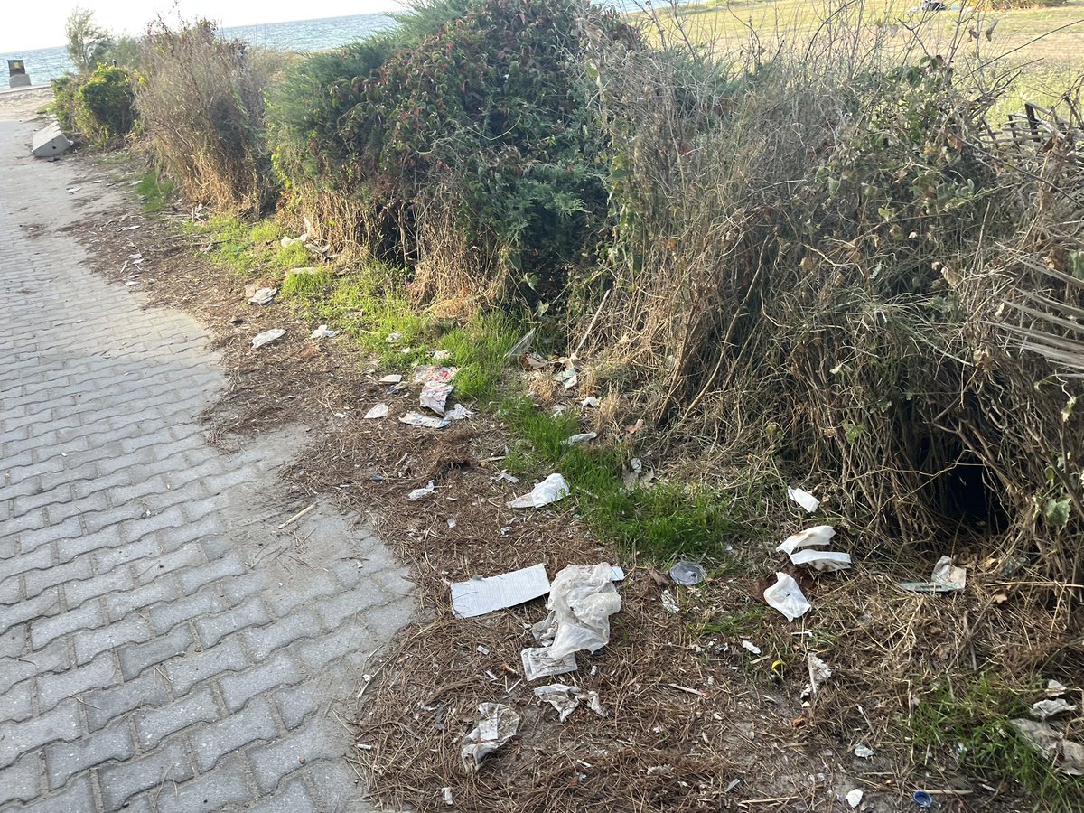 journalistmert's tweet photo. Bugün bu fotoğrafları Kuşadası Soğucak Sahili’nde çektim. Bisiklet yoluna bir site tarafından dökülen çimento, sitenin sökülen çitlerinin demirleri paslı halde yine bisiklet yolu kenarında bırakılmış. Bir başka fotoğrafta aynı sahilde bulunan çöplerden. 

@KusadasiBel’in iletişim hattı Güvercin Masa’yı aradım. Umarım bu durumlarla ilgilenirler. Kamu’nun alanına kimsenin müdahale etmesine izin verilmez.