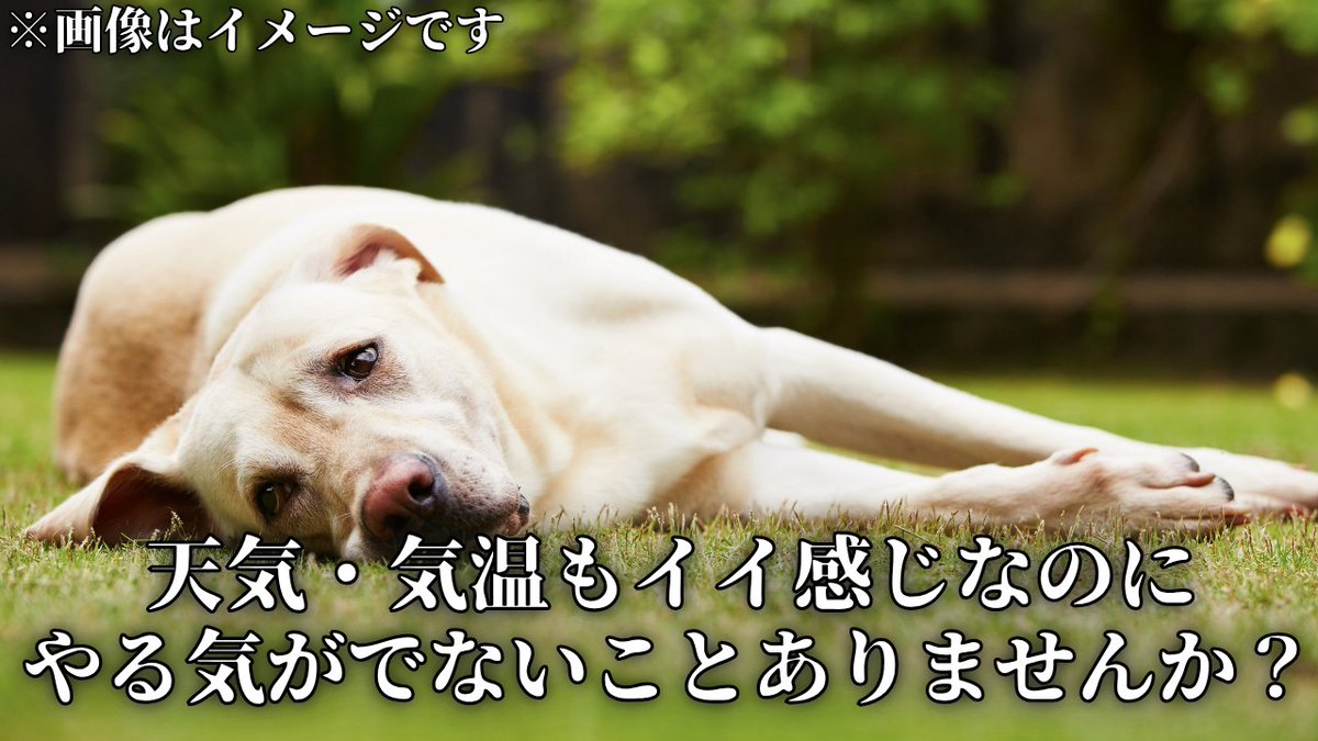 sekaiA_karakuri's tweet photo. 最近やる気が出ないあなたへ https://t.co/DMNyCgbk9G