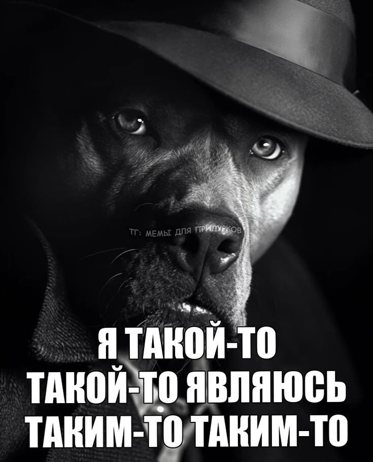 angelmaycry___'s tweet photo. первые 4 картинки в пинтересте ваша эстетика https://t.co/amJbINuM0p