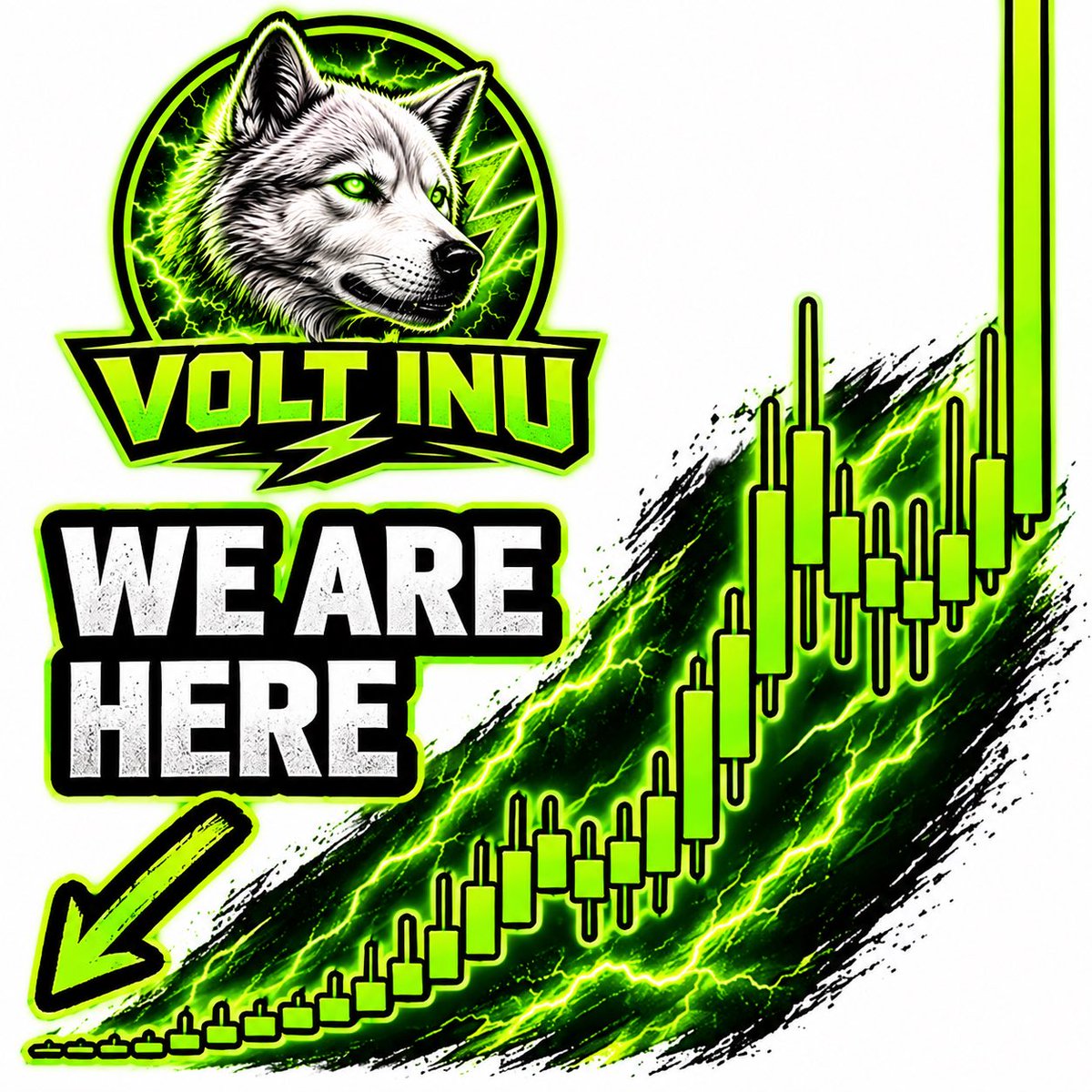 Volt_Trucker's tweet photo. 💯⚡️🫡 #STAYVOLTED #VOLT $VOLT @Voltinu_RH ⚡️⚡️⚡️⚡️⚡️⚡️⚡️⚡️⚡️⚡️ https://t.co/ShLyTIrDni