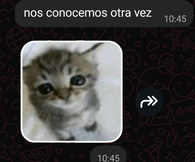 Danfpsshv's tweet photo. Ayuda q hago https://t.co/UPhQsUpHWj
