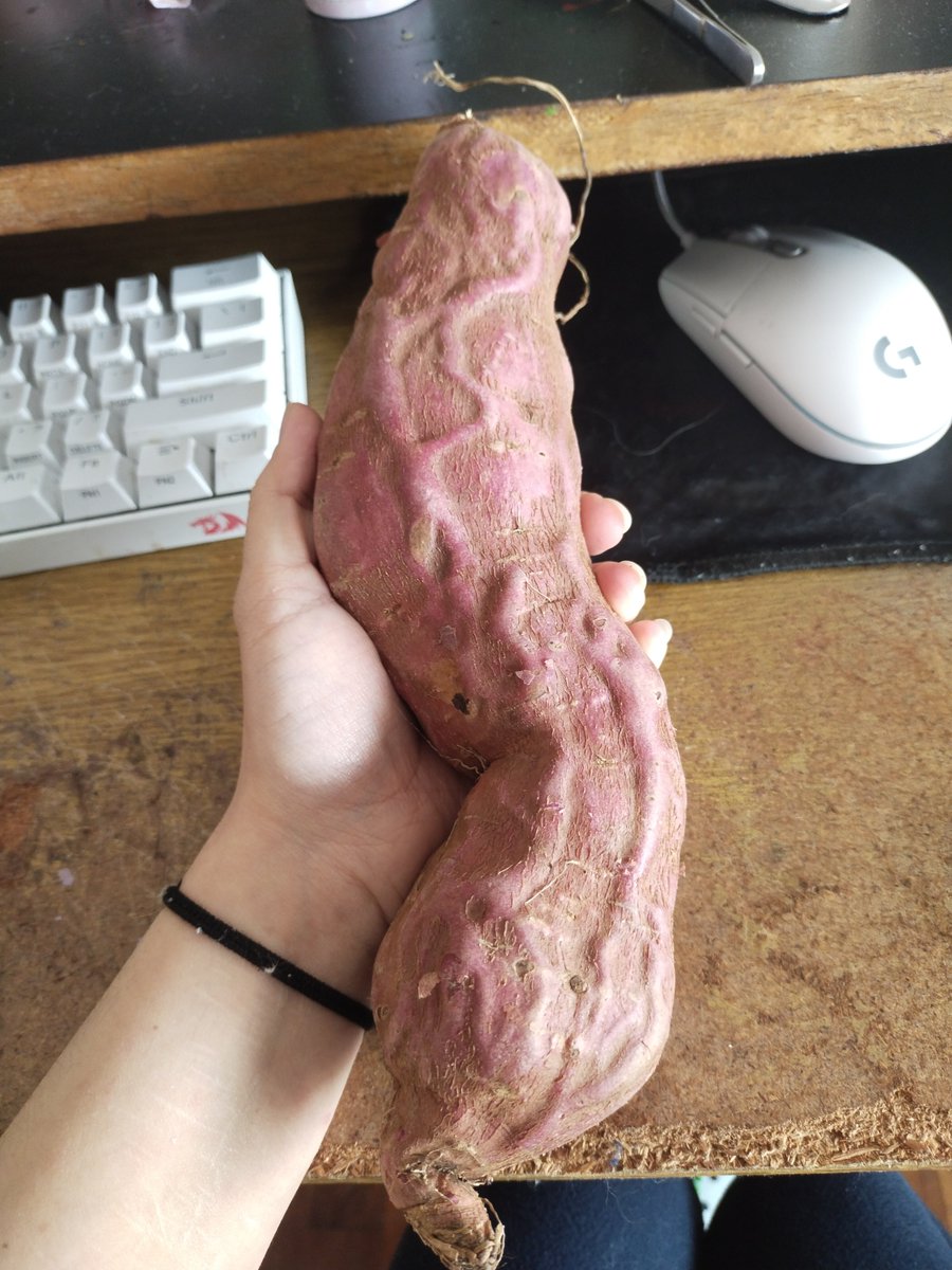 lissiecorn's tweet photo. por qué mi batata vino así 😭 https://t.co/Vg9N8lXKna