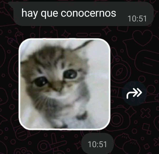 Danfpsshv's tweet photo. Ayuda q hago https://t.co/UPhQsUpHWj