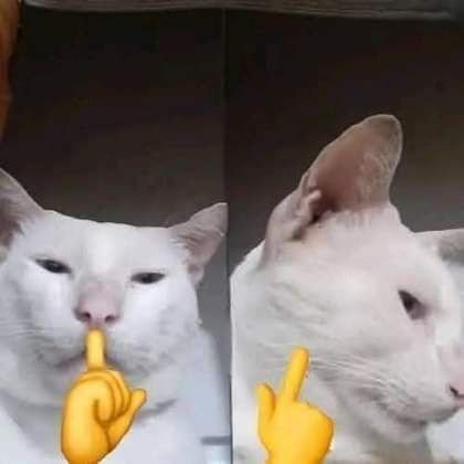 rmdn0604's tweet photo. @Bubblepuffgg Tentu saja acu hehe https://t.co/yRlHwwfNQh