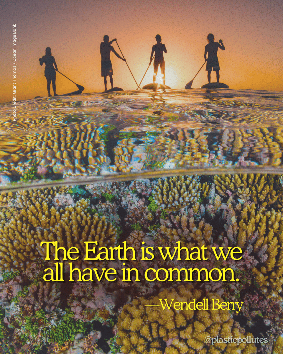 PlasticPollutes's tweet photo. We all call Earth our home.  🏄🌊🪸Protecting its ecosystems from toxic pollution sustains us all. #PlasticPollutes #BreakFreeFromPlastic https://t.co/EsGTlVymXY