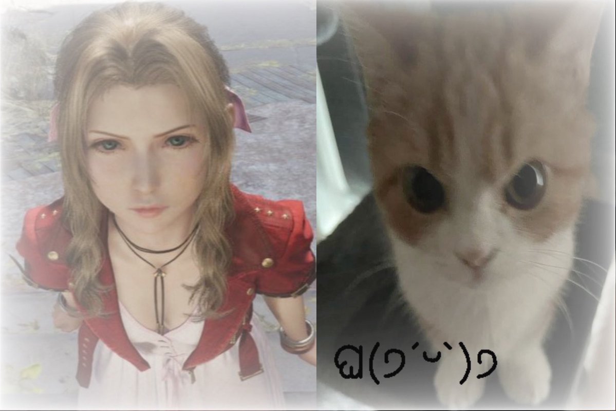 dmc3lady's tweet photo. you cannot ragebait me.. https://t.co/UDS3kN0C2N