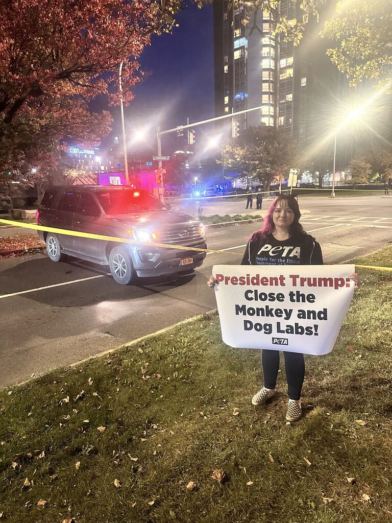peta's tweet photo. We stood along @realDonaldTrump's motorcade route to urge him to end cruel animal experiments. NIH-funded labs subject animals to suffering in experiments that fail to deliver safe, effective cures. End federal funding and invest in human-relevant research NOW. https://t.co/wuE5YrMEtp