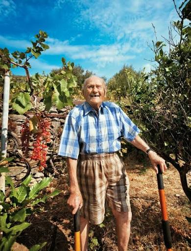 GustavoAdolf_'s tweet photo. En los años 70, el griego 🇬🇷 Stamatis Moraitis vivía en Estados Unidos 🇺🇸 cuando los médicos le diagnosticaron cáncer de pulmón en etapa terminal. El pronóstico era devastador: de 6 a 9 meses de vida.
En lugar de someterse a costosos tratamientos agresivos, pensó en algo más pragmático: los funerales en EE.UU. eran carísimos, mientras que en su tierra natal, la pequeña isla de Icaria (Grecia), sería gratis, así que regresó a su pueblo para pasar sus últimos días.
Pero al llegar, no se acostó a esperar la muerte. Cambió su estilo de vida por completo:
Cultivó su propio huerto, comió verduras frescas, aceite de oliva, pan casero y cero ultraprocesados. Caminó por colinas, recogió uvas y trabajó la tierra bajo el sol del Mar Egeo. Bebía vino artesanal sin químicos, rodeado de amigos, risas y cero estrés.
Pasaron los meses y no murió. Y pasaron los años... y las décadas.
Años más tarde, regresó a EE.UU. para buscar a los médicos que le dieron el diagnóstico terminal. Todos habían muerto.
Stamatis Moraitis murió en 2013 a los 98 años (aunque él aseguraba tener 102). La causa no fue el cáncer, sino la vejez. Su caso se convirtió en uno de los grandes símbolos de las "Zonas Azules" (Icaria), demostrando que la paz, la buena alimentación, la comunidad y el movimiento diario son la mejor medicina.