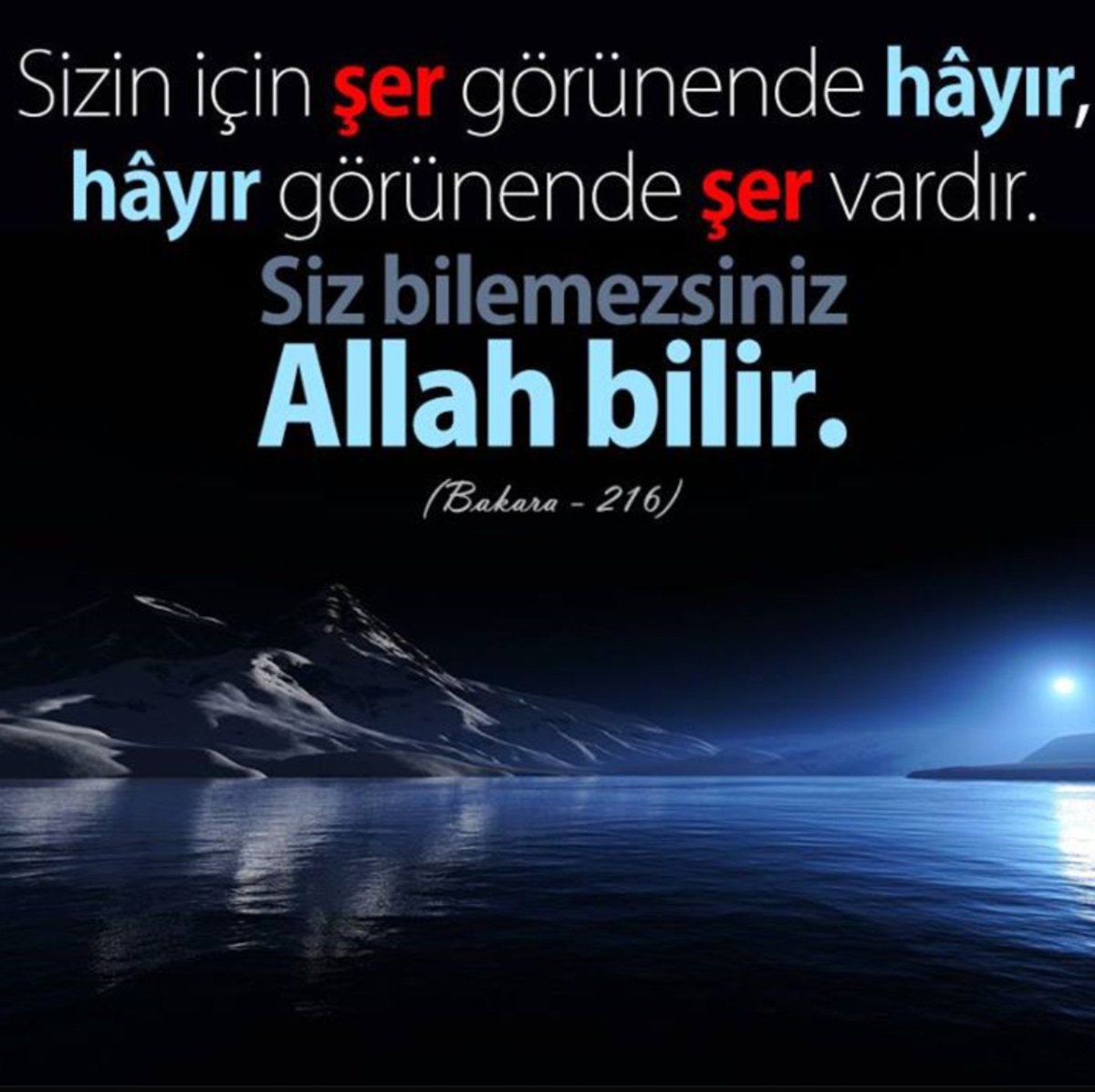 PASSIONFoREEDOM's tweet photo. @omerdemircrypto Ömer inan ki her şeyi yerinde dertsiz insan nefsi hevassinin esiri olabiliyor. Sıkıntılarla baskılar imtihanlarla olgunlasiyor gelişiyor öğreniyor yükseliyoruz... 
"Kadere iman eden, gamlardan kurtulur." Said Nursi https://t.co/1xHsywx5MI