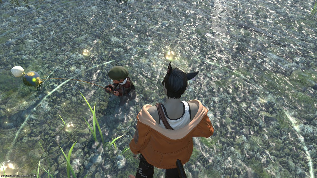 Hku_M74's tweet photo. ﾁﾋﾞｯｺの川遊び見守ってるみたいで可愛かった🎣いっぱいありがとう～～！！😭🙇‍♂️💖💖 https://t.co/vmqJO7Ii8U