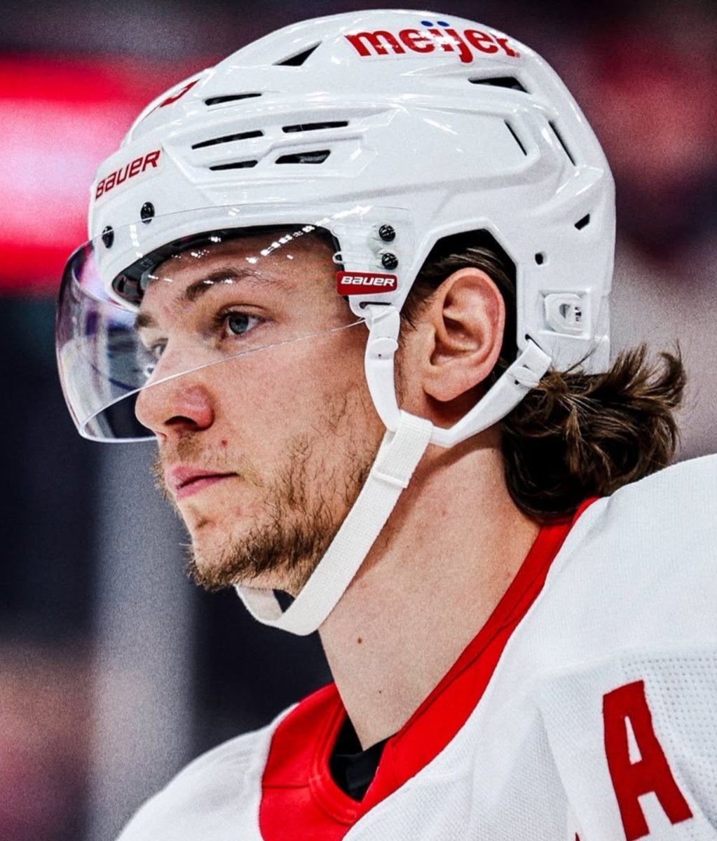 seiderstories's tweet photo. he has that sadness in his eyes that you only see from 6 years of red wings hockey https://t.co/S4gePEt3Um