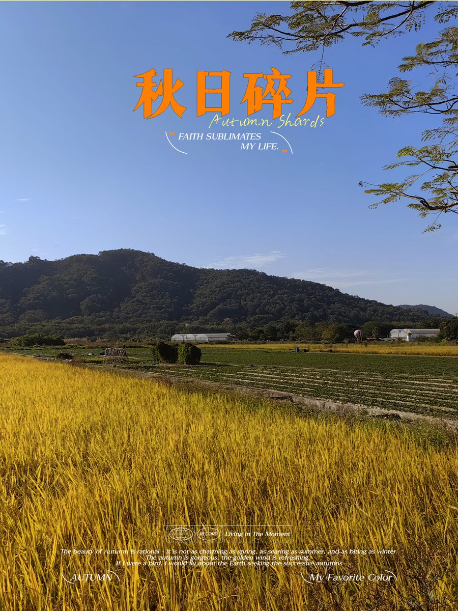 C2oNtCWv4ZE3pOF's tweet photo. 『映画のチケットをゲット！稻の香り漂る季節、昨日の料理がちょっと烂れちゃったけど、楽しみだ』 https://t.co/pzspsjT9yq