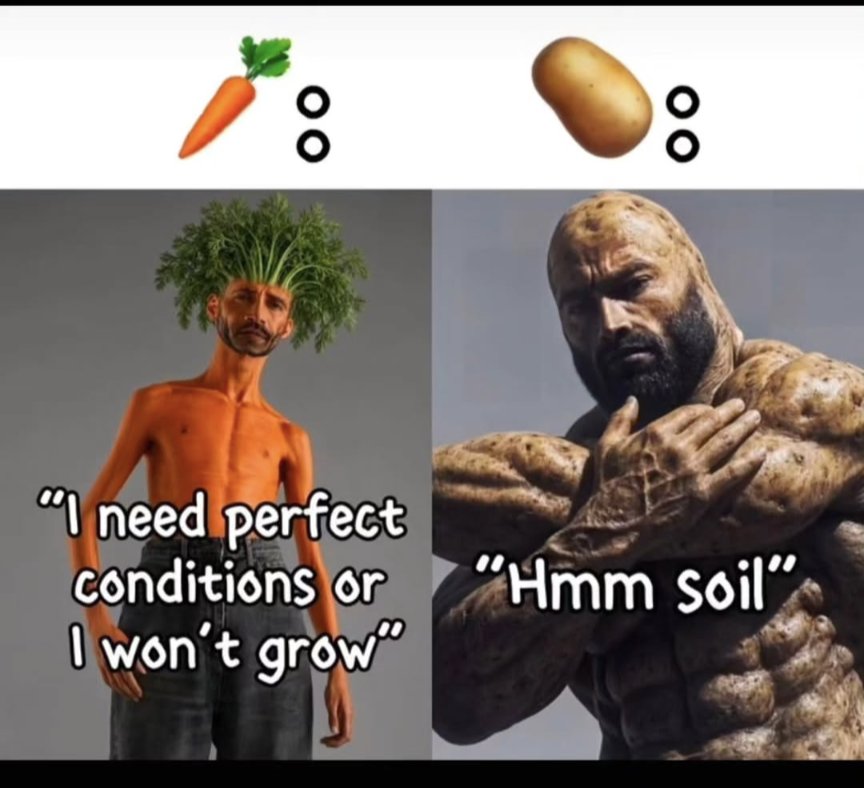 abstractpotato's tweet photo. 🥕 < 🥔 https://t.co/b4AyMGHP1d