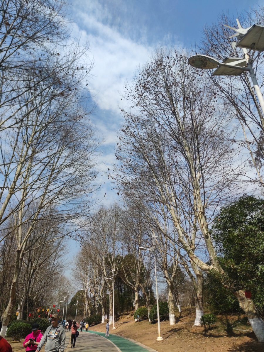 soato78's tweet photo. [司俟际、今日も良い一日だね！素敵な瞬間を一緒に過ごそう]， https://t.co/UWqLHSE4A4