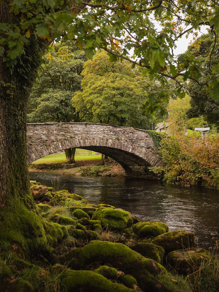 visualsofearth1's tweet photo. Lake District this autumn 🍂 https://t.co/oDOW3jP5Yx