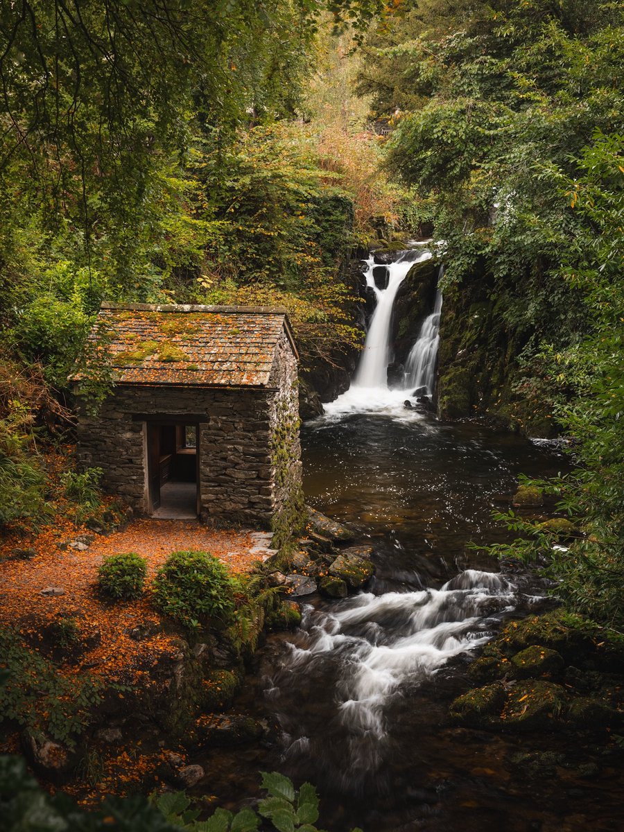 visualsofearth1's tweet photo. Lake District this autumn 🍂 https://t.co/oDOW3jP5Yx