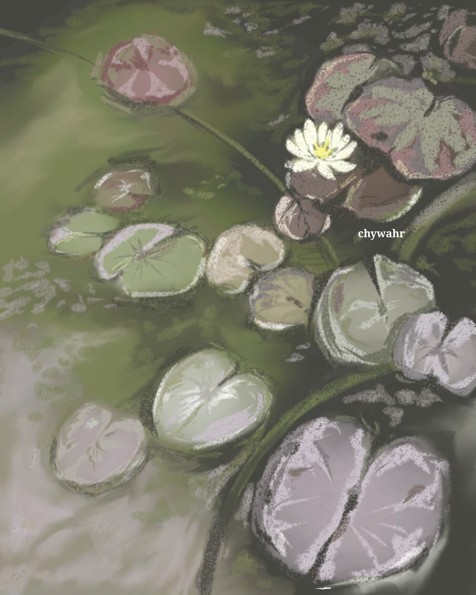 chywahr's tweet photo. art studyyy 🪷🪽

anyone up for moots? #artmootsㅤ https://t.co/HsQNPxsFzA