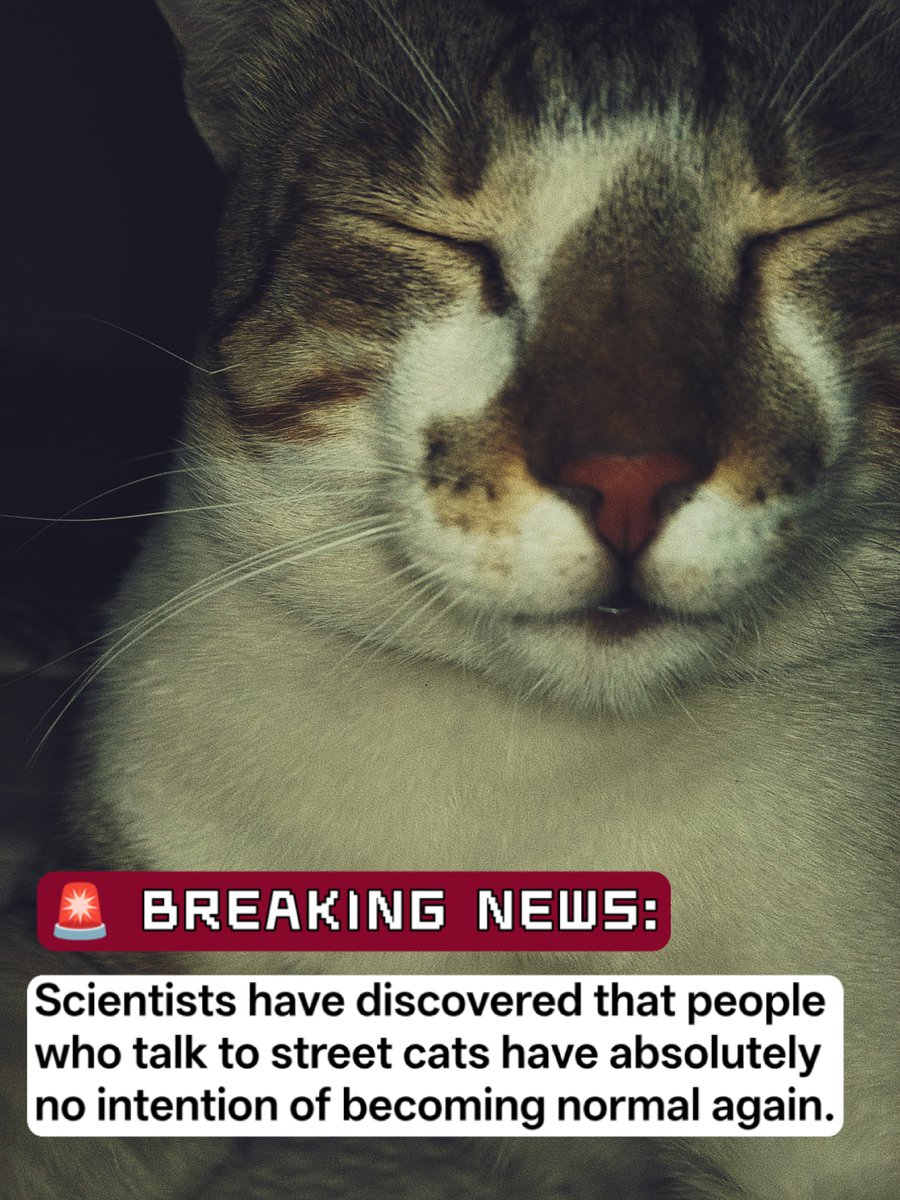 MyFeralNeighbor's tweet photo. 😺👍🏻🚨 BREAKING NEWS: https://t.co/poNyFg62aK
