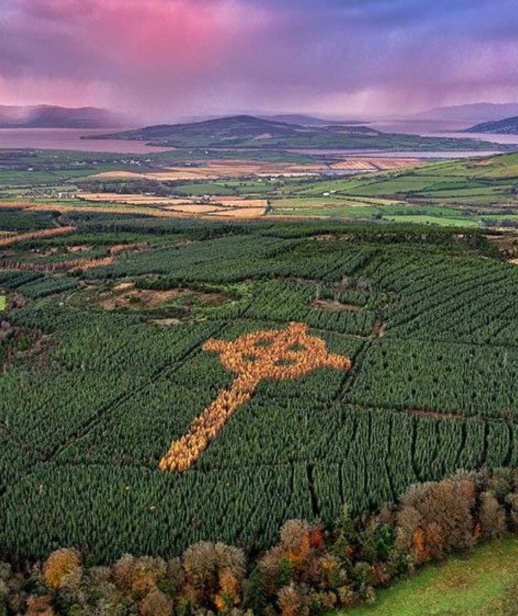 CatholicArena's tweet photo. DONEGAL, IRELAND 

Liam Emery planted this Celtic Cross pattern made up of 3,000 deciduous Japanese Larch in the woods in Donegal, shortly before suffering a brain injury that would lead to his death at just 51 years old 

Liam died in 2010, but since 2016 his incredible creation is now visible from the sky