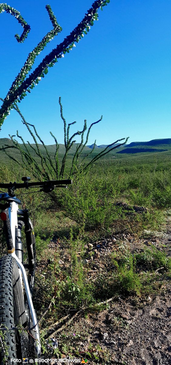 Rod_Mat_'s tweet photo. #SundayMTB🚵
#100kms ✅
#ChiwasDesert 🏜
#HechoEstá
#VamosQueSePuede https://t.co/z3jJzSdrFG