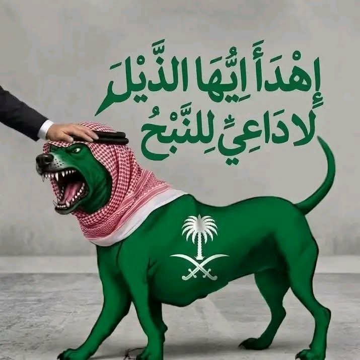 yasser_alsaaide's tweet photo. @mmdlrby513891 @Sjehjcshj3385 هاي هيَ اخلاقكم يا جبان تربية ابستين https://t.co/XbirOsQW0b