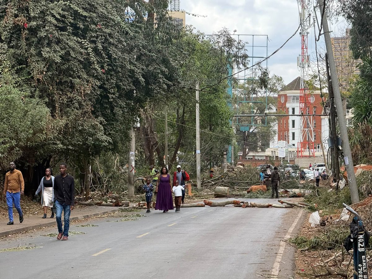 JamesWakibia's tweet photo. All of a sudden the government has realized there are  old trees that need to be neutralized. A government that doesn't respect the natural environment will definitely not give shi* about its people. We are treading on dangerous grounds. https://t.co/8Bd1tqHiY6
