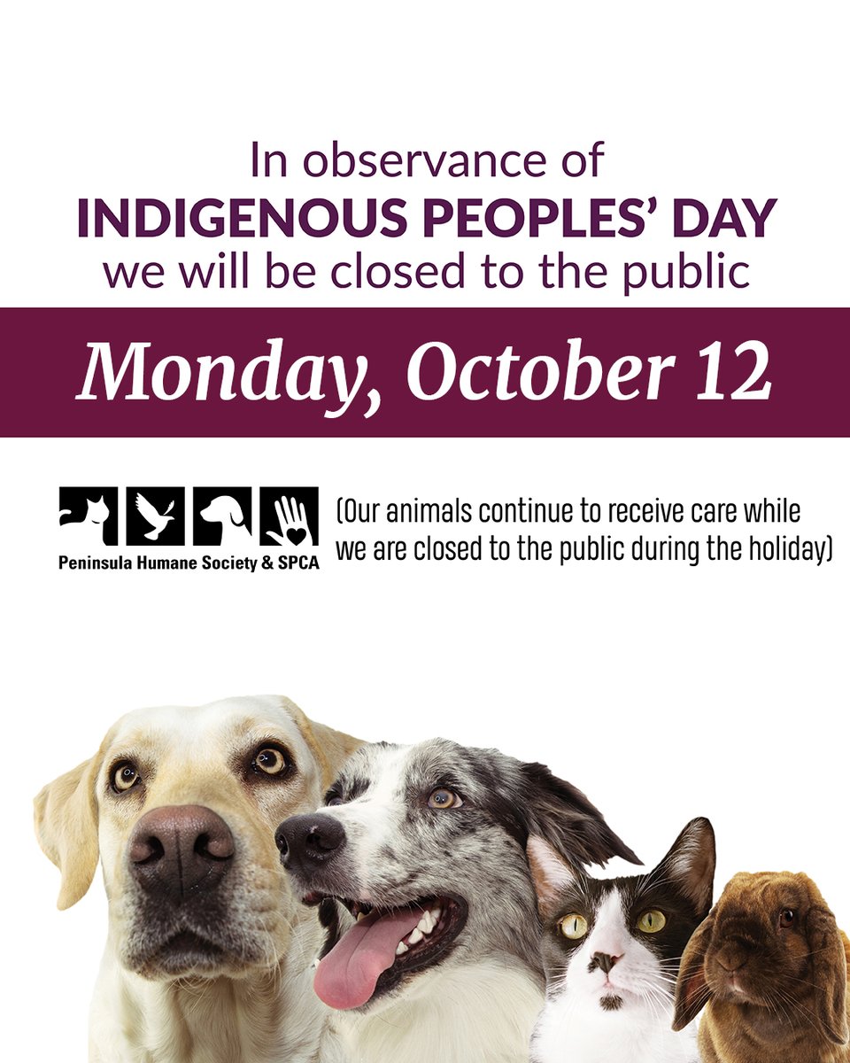 PeninsulaHumane's tweet photo. PHS/SPCA will be closed to the public TOMORROW in observance of Indigenous Peoples' Day. We'll see you at 11a.m. Tuesday. https://t.co/WGG4wALbhw