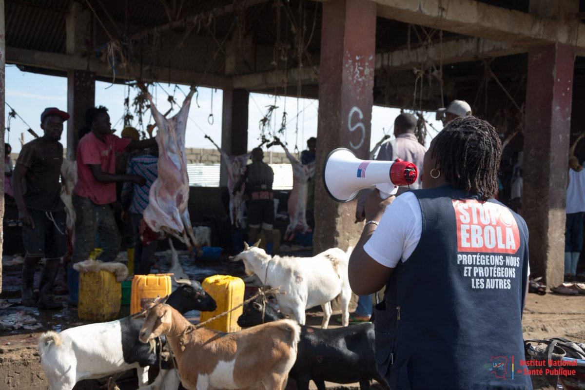 Insprdc's tweet photo. #RDC 🇨🇩 | #INSP : À BUNIA, L’APPROCHE « UNE SANTÉ » AU CŒUR DE LA PRÉVENTION D’EBOLA.

Le 10 octobre 2026, l’#INSP a sensibilisé les acteurs de l’abattoir de Bunia aux modes de transmission d’Ebola, aux mesures de prévention et aux comportements à adopter pour limiter les risques de propagation.

👥 Vétérinaires, abatteurs, transporteurs, commerçants et acheteurs ont été mobilisés autour de messages clés de prévention.

🧼 Au programme : démonstration du lavage des mains et remise d’affiches, de kits d’hygiène et de thermoflashs pour renforcer les mesures de protection sur le site.

À travers l’approche « Une Santé », l’#INSP renforce la prévention à l’interface entre la santé humaine, animale et environnementale.

Protéger chacun, c’est renforcer la sécurité sanitaire de tous !

#RiposteEbola #UneSeuleSanté #SantéPublique
@Presidence_RDC @PrimatureRDC @MinSanteRDC @OMSRDCONGO @UNICEFDRC @AfricaCDC @fhi360 @SANRU_asbl @croix_rouge_rdc @CDCgov