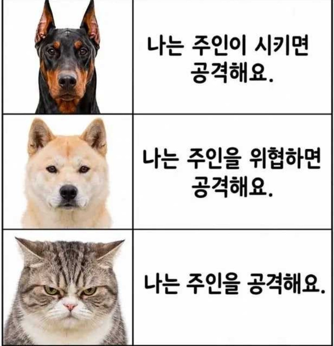 meongmuda's tweet photo. 범골해주세료 https://t.co/4eM3jCCkLn