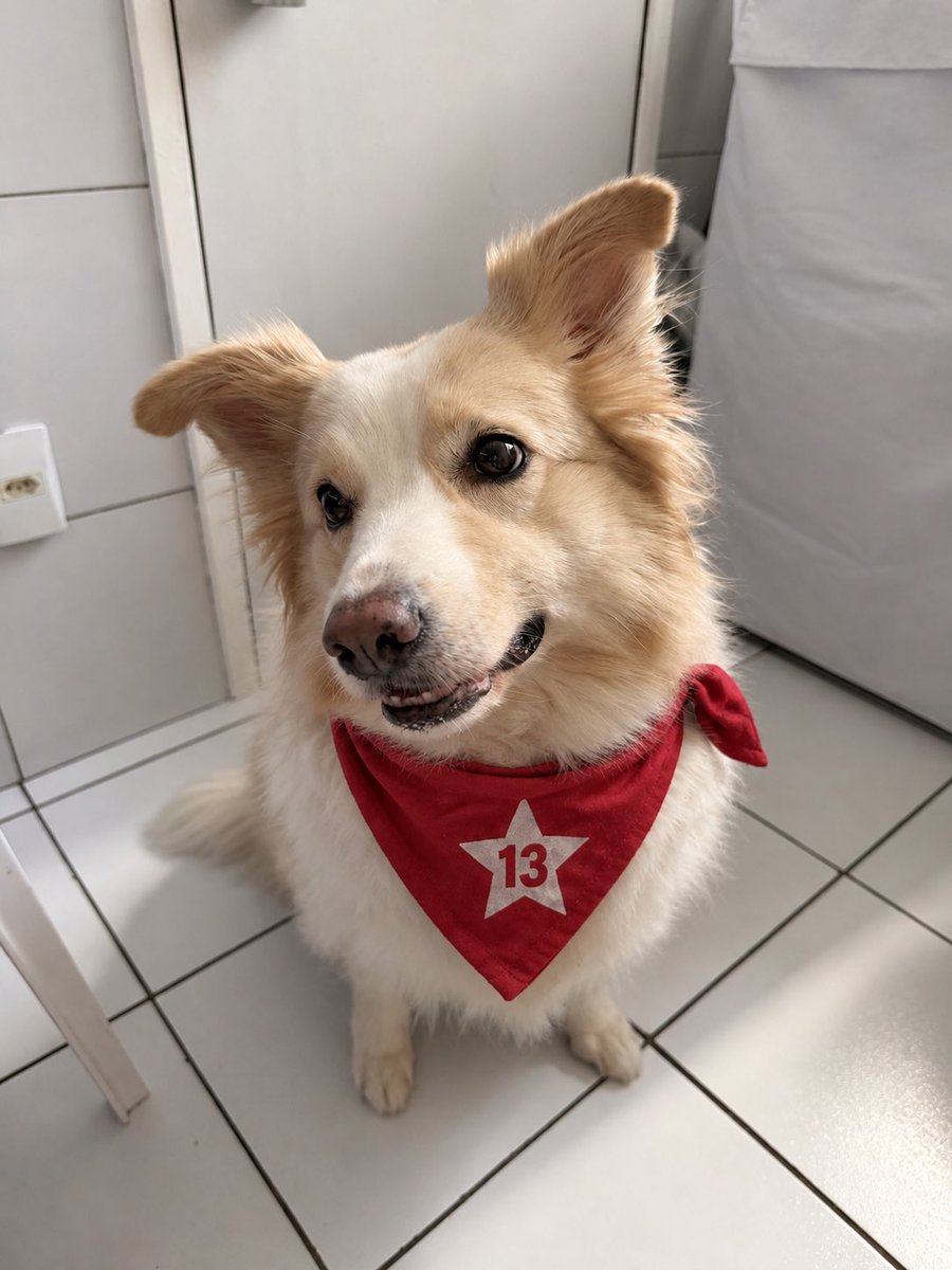 sabinadinha's tweet photo. cachorros com LULA!!!! 
kyara e bubba são privilegiados mas tbm lutam pelo seus Aumiguinhos que não são! #lula https://t.co/pPtYFl5BWK