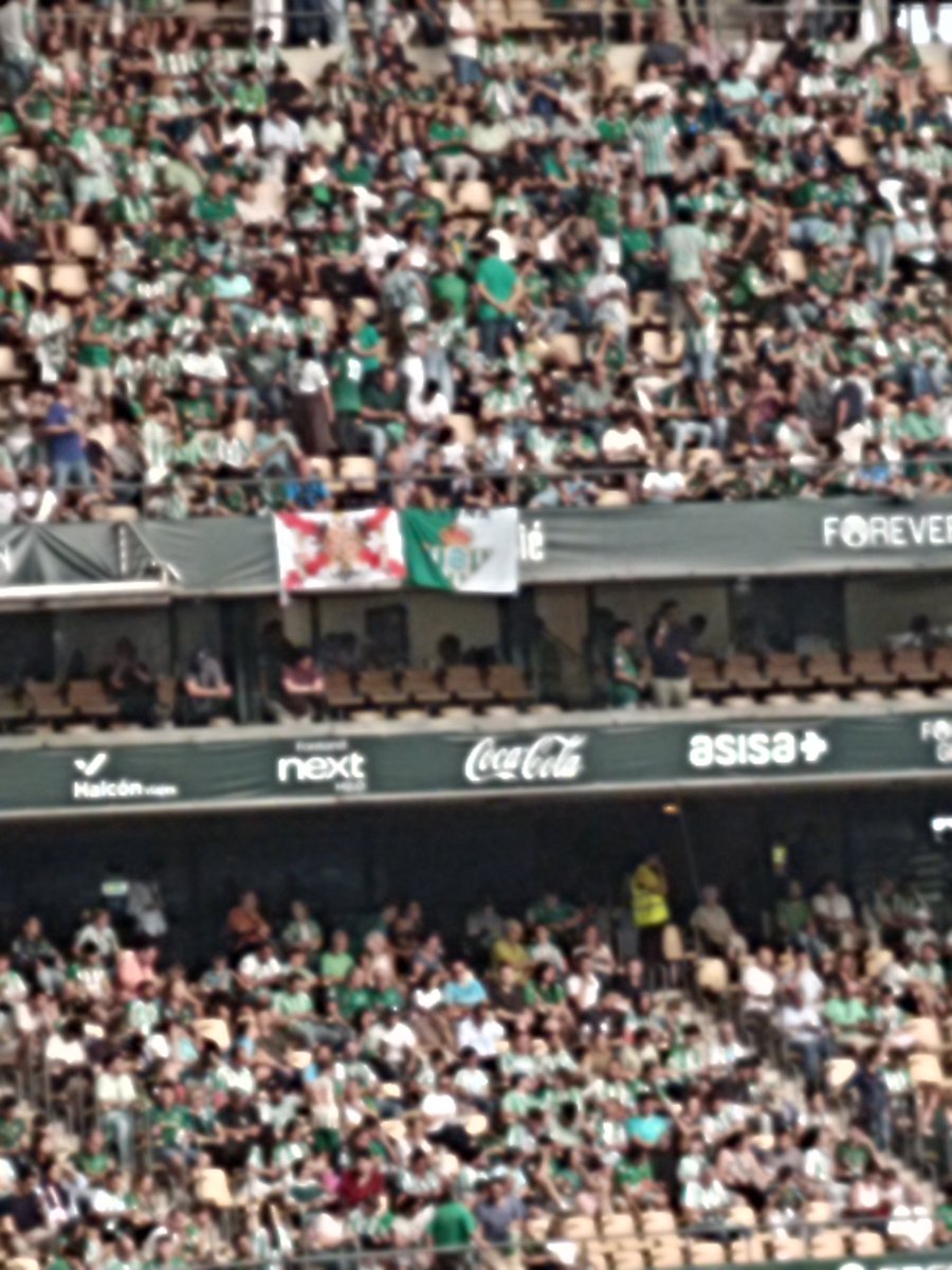 M_Shadow83's tweet photo. Hola, @RealBetis . ¿Me explicáis que hace esta mierda en la grada de Fondo y por qué no se retira inmediatamente?

Gracias. https://t.co/A5zLrLVvVW