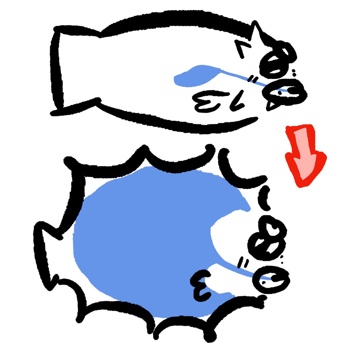 RandomElliotz's tweet photo. Daily puffer fun fact from your favorite seishun puffer boy! Let's do some puffnatomy: When we are de-puffed, our stomach is very small and tiny! But when we puff up, our WHOLE body becomes a stomach! I get extra hungry after I get scared. . . https://t.co/lCvrnWQ4f2