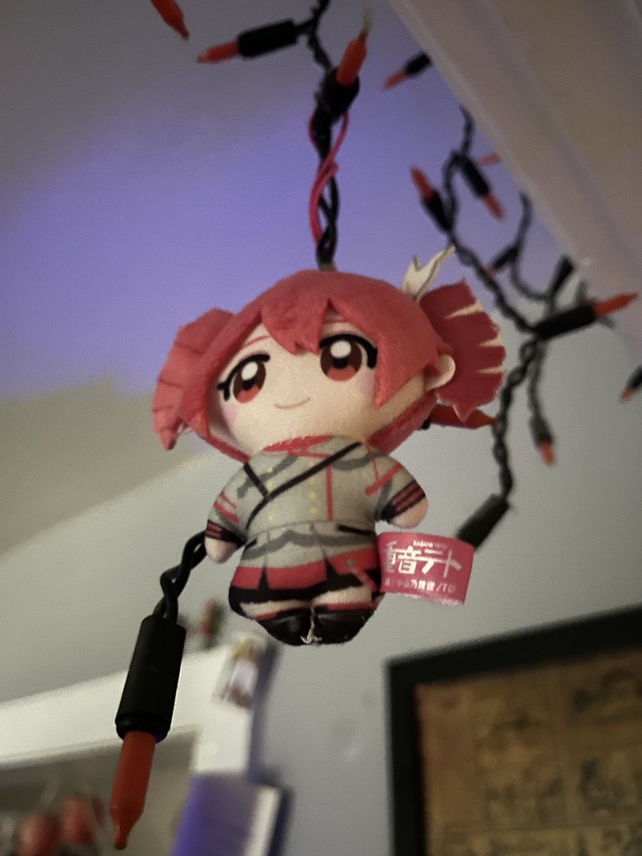 Toasterctrdge's tweet photo. Everyone that walks into my house has to walk under the Teto https://t.co/E8SpayHZjm