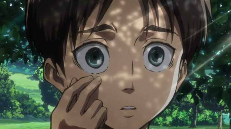 aderayo_xo1's tweet photo. At the start of episode 1, how does Eren dream of the future before he has inherited the Attack Titan? Is that his future self guiding him and then erasing the memory? https://t.co/frYHQuepFk