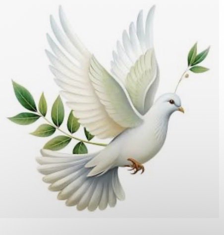neo_tigray's tweet photo. 1/

🕊️ PEACE IN TIGRAY‼️

Let’s give the people of #Tigray a break. They have endured enough suffering. It is time to heal, rebuild, and move forward together.

Let’s take care of one another, forgive each other, and put the interests of our people above political differences. https://t.co/rmvwPnrimX