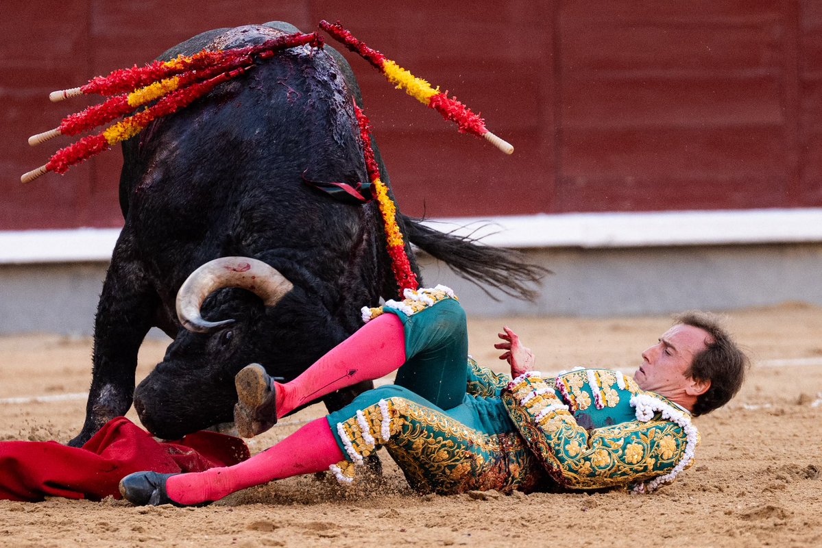 RomanCollado's tweet photo. Momentos de la voltereta en el segundo toro de nuestro lote. https://t.co/qxG2bgqpzq