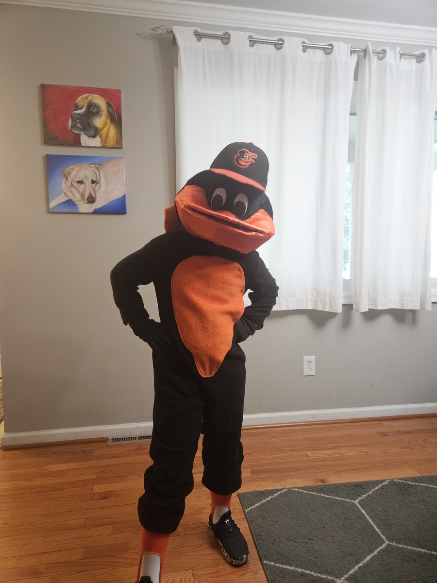 EutawStReport's tweet photo. Wife and kid have been working on his Halloween costume since July.

And now I hear @OrioleBird may have an opening? https://t.co/PQ4ulJa8Ah
