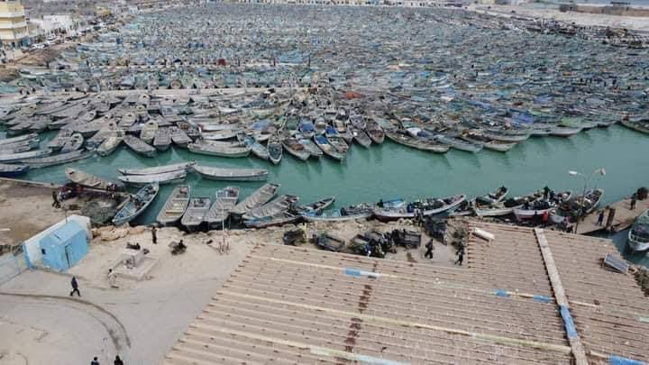 agelMauritania's tweet photo. دخل قرار التوقيف البيولوجي الثاني لصيد الأخطبوط ورأسيات الأرجل لسنة 2026 حيز التنفيذ أمس السبت في عموم المياه البحرية الموريتانية وفق الموعد الذي حددته وزارة الصيد والبنى التحتية البحرية والمينائية. https://t.co/iMmIMj8Yo6