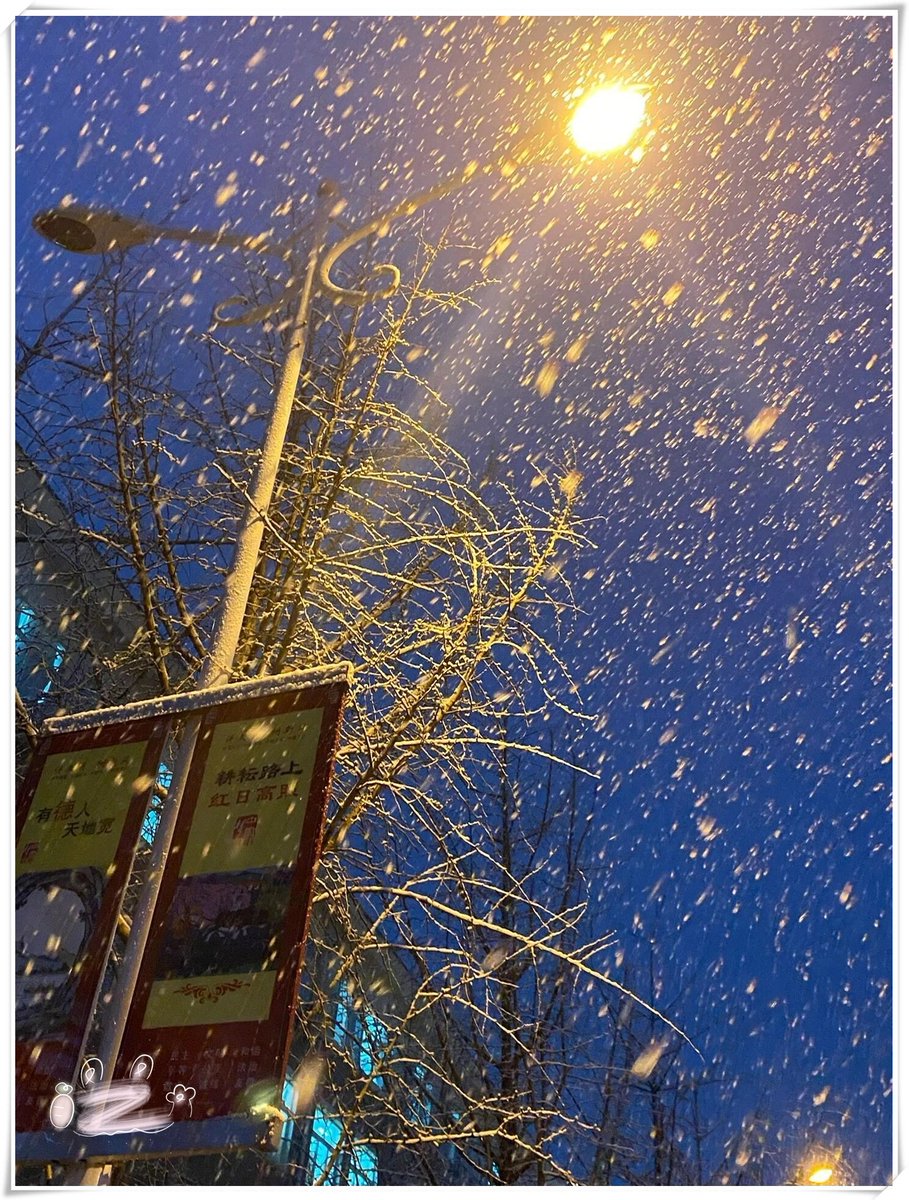 Menachemusa's tweet photo. 北の空に舞う、誇らしき紋の如き雪の結晶。冬の贈り物、心に染み入る美しさ。 https://t.co/Fgp4JbbTk6