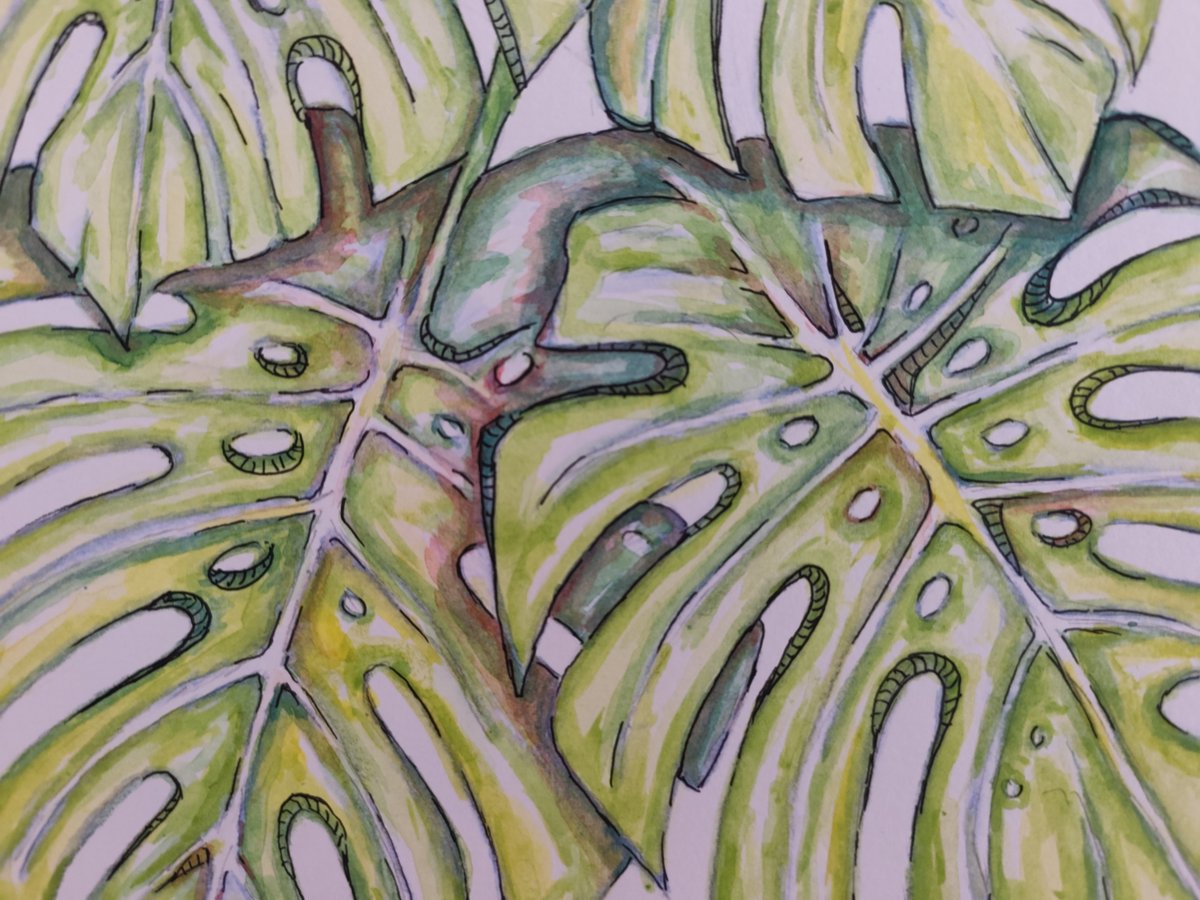 rosasebastia's tweet photo. Para mí la acuarela aporta la frescura e imprevisibilidad, mientras que el trazo d tinta fija la estructura y los detalles
No busco solo representar elementos vegetales, sino traducir su luz y su ritmo a un lenguaje gráfico
#FineArt #ArtCollector #ContemporaryArt #BotanicalArt https://t.co/3h28qfAKju