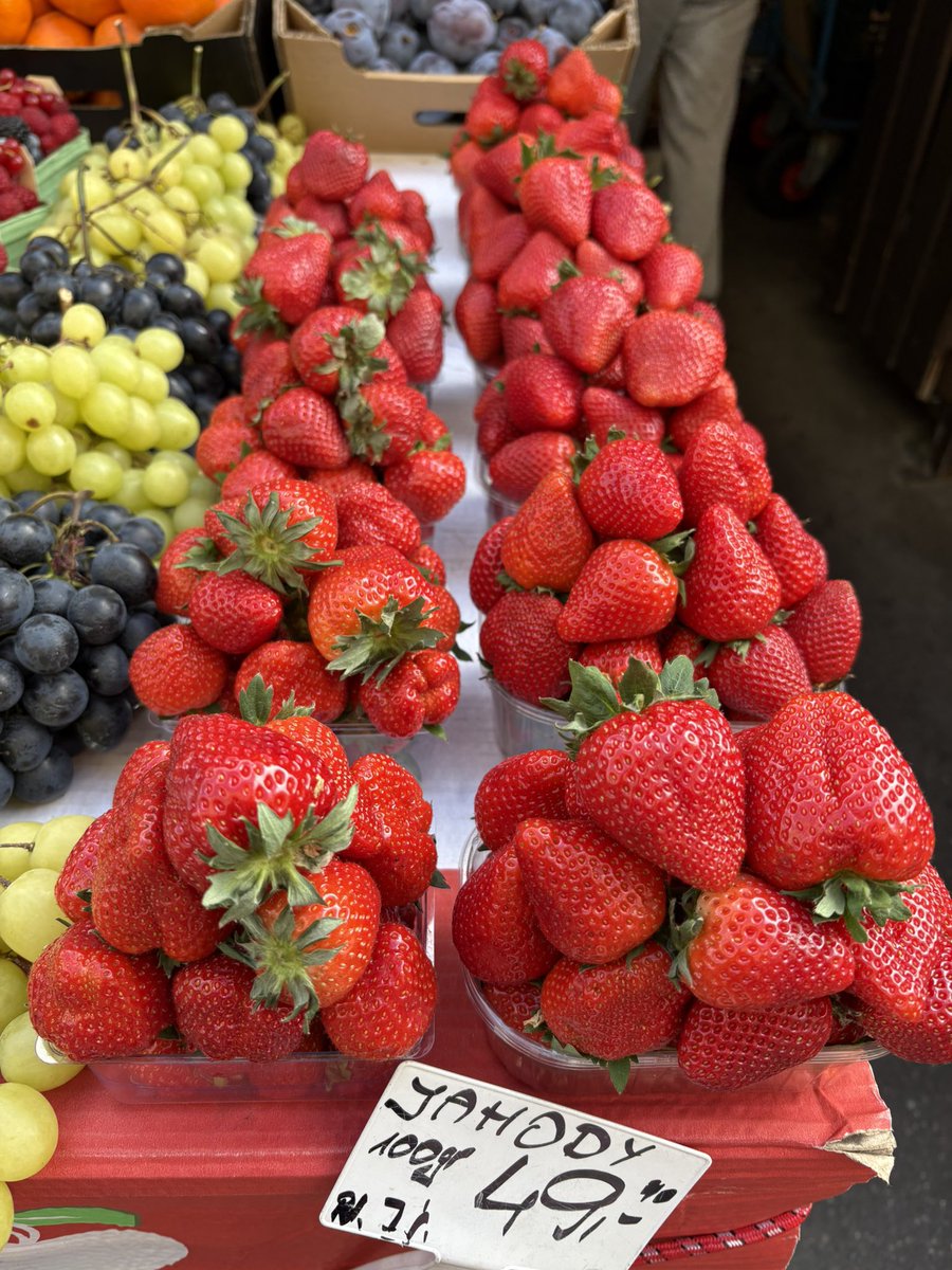 whitesawn's tweet photo. Day 1 ⋆｡‧˚ʚ🍓ɞ˚‧｡⋆ https://t.co/HwBMxJ0gez
